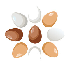Various Shapes and Shades of Chicken Eggs, Including Brown, White, and Spearmint, Ready for Basket or Dish - Vector Illustration