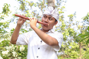 Portrait of Balinese Asian man playing traditional bamboo flute in outdoor park