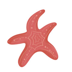 starfish isolated on white background
