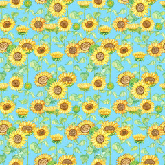 Seamless pattern background. Endless backdrop template. Sunflower flower head, leaves, blooming plant. Hand drawn watercolor illustration. Summer and autumn botanical art. Wrapping, textile, fabric