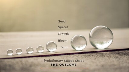 Clear Glass Spheres Demonstrating Evolutionary Stages of Growth