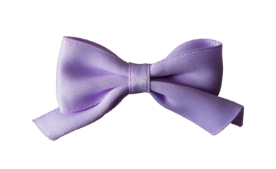 cute purple bow tie isolated