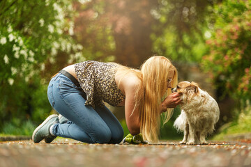 Tender moment between woman and Chihuahua dog, autumn light and emotional connection