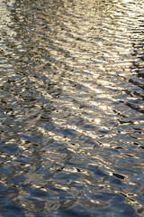 The water surface shimmers with golden light reflections, creating a rippled and sparkling effect