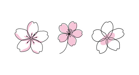 Set of Minimalist Cherry Blossom Flower Line Art with Pink Color Accent, Hand Drawn Floral Illustration © Zhangxiao