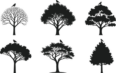 Tree silhouette set with perched birds, black vector nature collection, diverse canopy shapes, artistic forest elements, minimal design, wildlife illustration