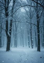 Frozen Woodland Scene at night 