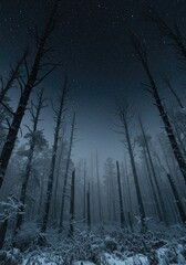 Luxurious red velvet fabric with soft folds and waves on a dark background, perfect for fashion or wallpaper design.
