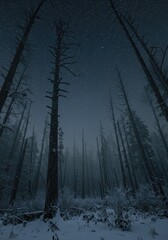 Luxurious red velvet fabric with soft folds and waves on a dark background, perfect for fashion or wallpaper design.
