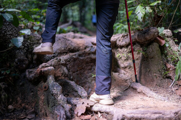 Person hiking a challenging forest trail exploring nature