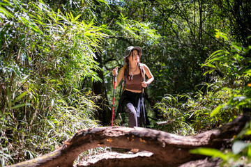 Woman hiking through bamboo forest trail using trekking poles