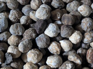 A close-up, top-down view of a large pile of round, textured, and earthy-toned candlenuts or seeds.