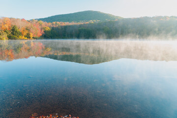 Beautiful Autumn Forest with Mountain Fog and A Lake
