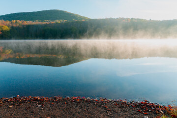 Beautiful Autumn Forest with Mountain Fog and A Lake