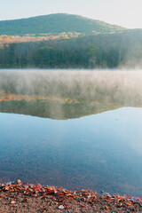 Beautiful Autumn Forest with Mountain Fog and A Lake