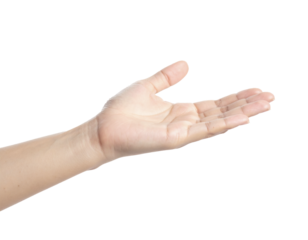 Open Female Palm Up — Offering Gesture — Transparent Background