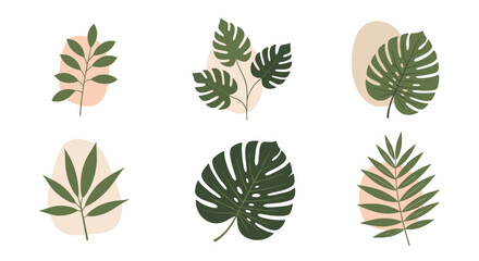 A curated collection of tropical leaf illustrations in a minimalist abstract style.