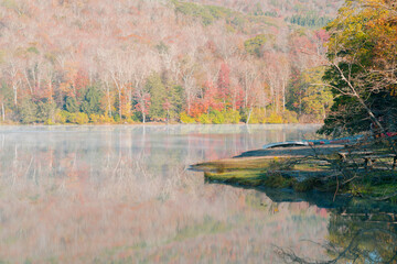 Beautiful Autumn Forest with Mountain Fog and A Lake