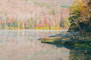 Beautiful Autumn Forest with Mountain Fog and A Lake