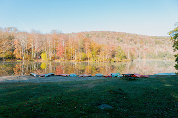Beautiful Autumn Forest with Mountain Fog and A Lake