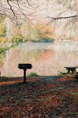 Beautiful Autumn Forest with Mountain Fog and A Lake