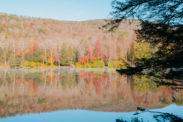 Beautiful Autumn Forest with Mountain Fog and A Lake