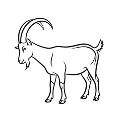 Goat Contour: A striking line drawing showcases a majestic goat, with its elegant horns. The image emphasizes the intricate details of the animal's form.