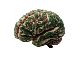 Human brain form covered in green textured growth