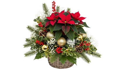 Ilustrasi festive christmas poinsettia arrangement with decorations menampilkan komposisi vibrant, berries, close-up, isolated, plant dengan tampilan.
