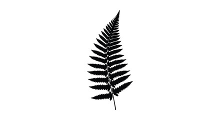 Detailed black silhouette of a fern frond symbolizing nature growth and organic beauty isolated on white silhouette