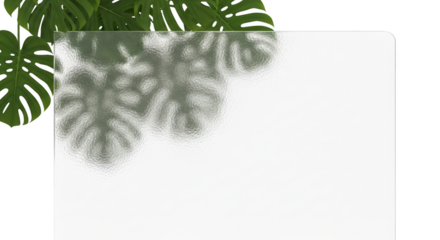 Ilustrasi monstera leaves behind frosted glass texture menampilkan komposisi light, surface, texture, elegant, decor dengan tampilan.
