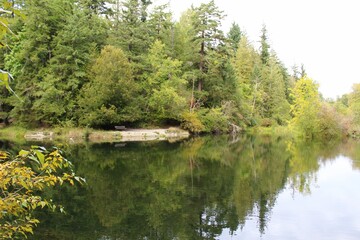 Fall is arriving in the forest and a serene pond reflects the foliage on its surface