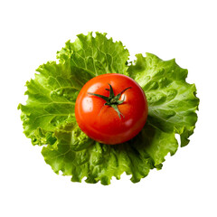 Fresh red tomato centered on vibrant green lettuce