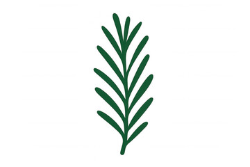 Green pine branch illustration on transparent background, symbolizing nature, wilderness, and organic growth