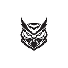 Owl face with sharp eyes for logo and mascot design