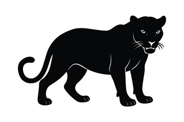 Fototapeta premium 13shiliuati-of-a-terrible-the-panther-white-backgrou.eps