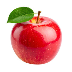 Red  with stem and leaf rests on a black background.