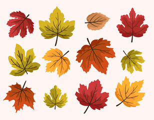 Cartoon Autumn Leaves Clip Art for, fall maple leaf, dry leaf, autumn trees, falling leaves background, flower vector, autumn leaves icon, or leaf logo in svg vector  © kawacreative