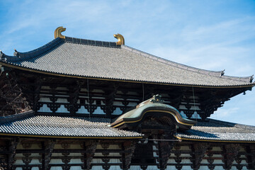 Japan Nara deer Nara Park deer 