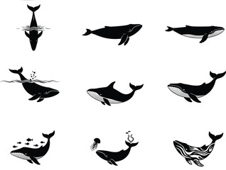 Whale silhouette vector illustration, ocean wildlife scenes, underwater movement concept, black and white graphic art, marine animal design, aquatic nature theme