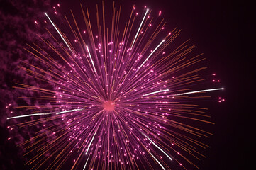 夜空を彩る花火