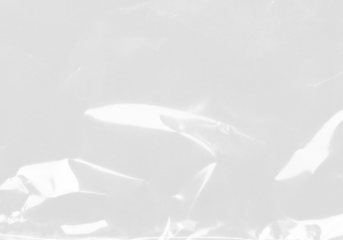 plastic transparent cellophane bag on white background. The texture looks blank and shiny. The plastic surface is wrinkly and tattered making abstract pattern