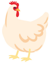 Illustration of a white hen chicken standing on a transparent background with detailed feathers and red comb accentuating its natural form