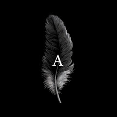 Monochrome Letter A: Feather-Inspired Typography on Black Background for Artistic Home Decor and Personalized Gifts