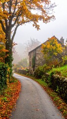 Autumn road through colorful forest trees