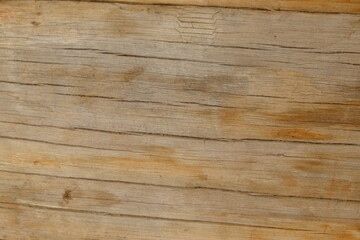 Fototapeta premium The texture of the tree. Natural realistic wooden texture with deep cracks..