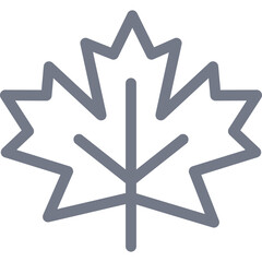 Simple stylized maple leaf icon in gray on a transparent white background symbolizing Canadian identity and nature in a clean outline graphic format