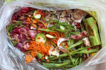 organic waste from kitchen vegetable scraps in plastic bags, consisting of red onion skins,...