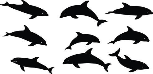Dolphin silhouette collection, ocean marine animal illustration, black dolphin vector design, sea mammal shapes, aquatic wildlife clipart for nature artwork © Kartik Creative