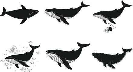 Whale silhouette vector illustration, underwater marine life, ocean swimming poses, black and white graphic art, aquatic nature concept, sea animal design